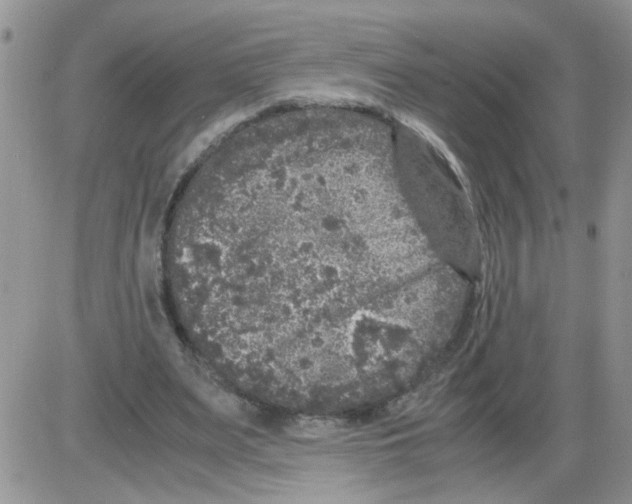 X0000086030487200704201950