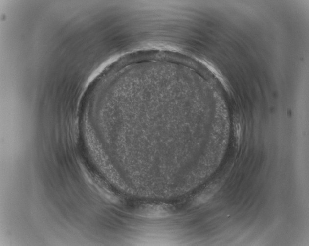 X0000086030488200704201950