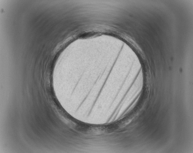 X0000086030489200704201950