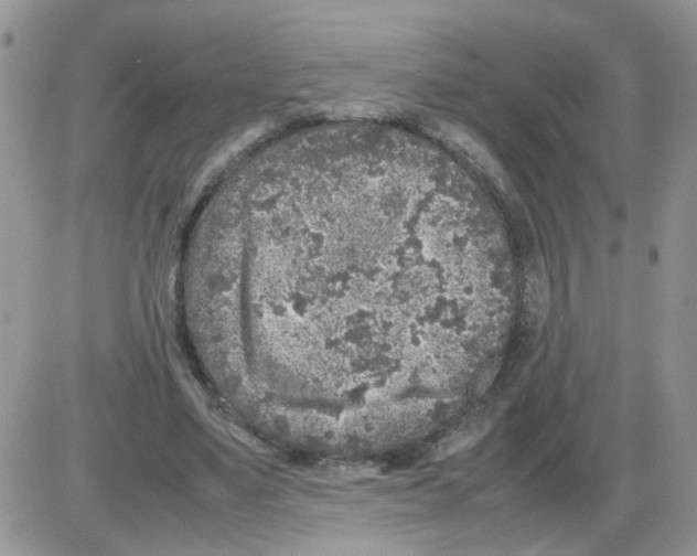 X0000086030491200704201950