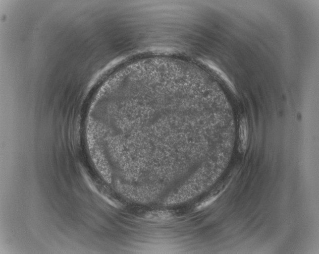 X0000086030492200704201950