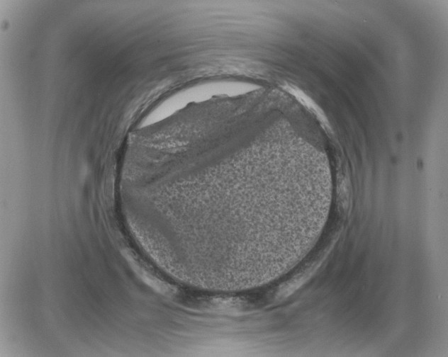 X0000086030493200704201950