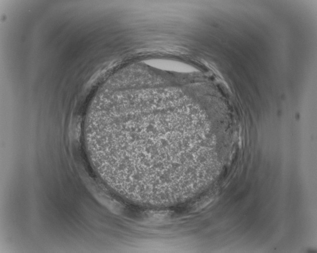 X0000086030495200704201950