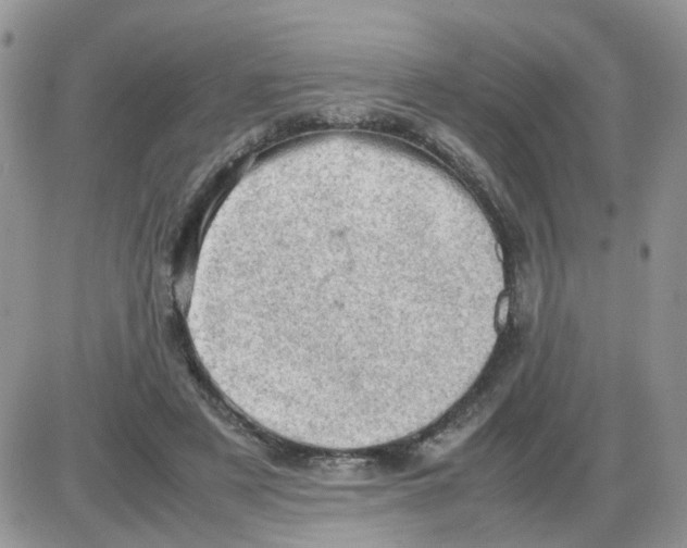 X0000086030497200704201950