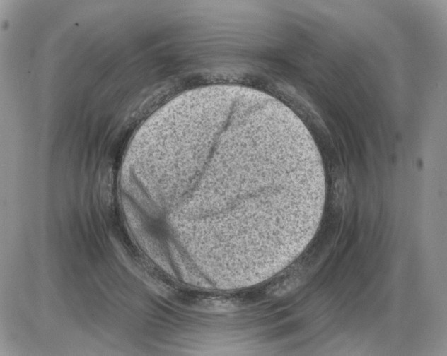 X0000086030498200704201950