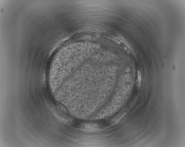 X0000086030500200704201950