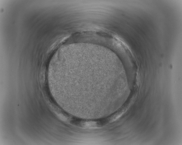 X0000086030501200704201949