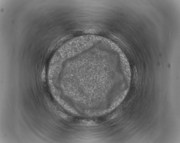 X0000086030502200704201949