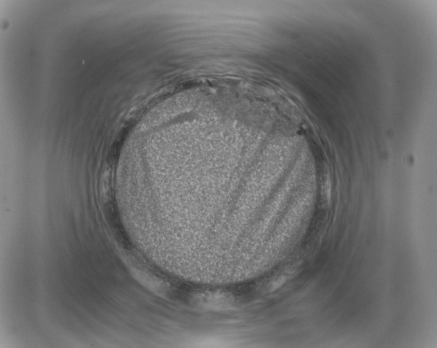 X0000086030503200704201949