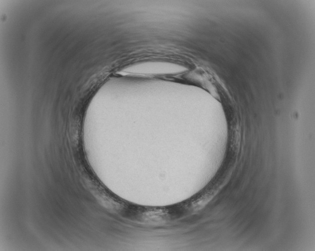 X0000086030505200704201949