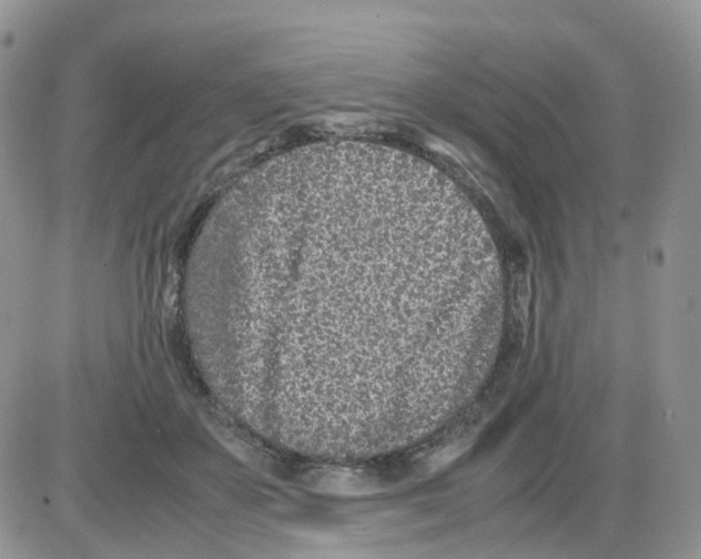 X0000086030507200704201949