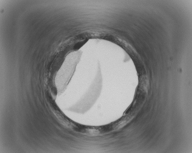 X0000086030509200704201949