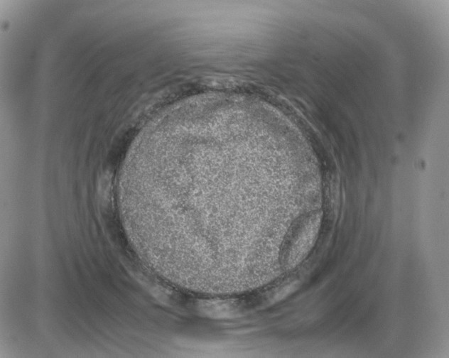 X0000086030511200704201949