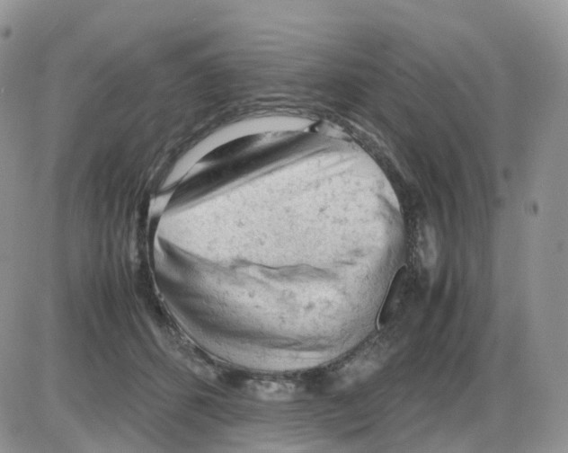 X0000086030512200704201949