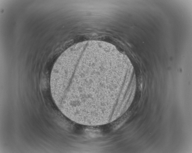 X0000086030515200704201949