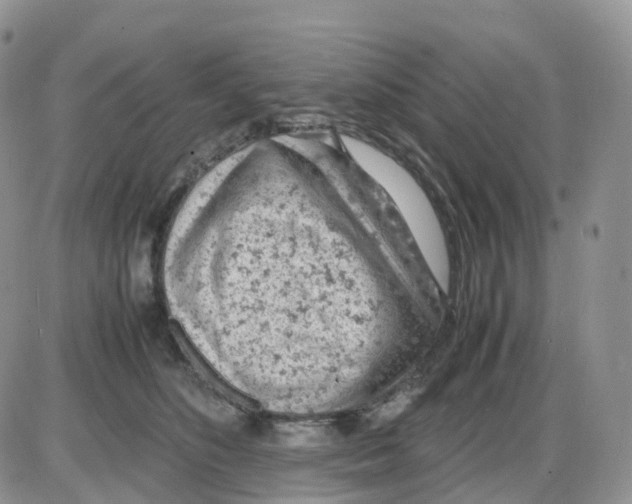 X0000086030516200704201949