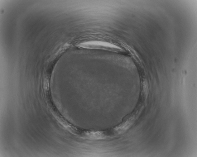 X0000086030517200704201949