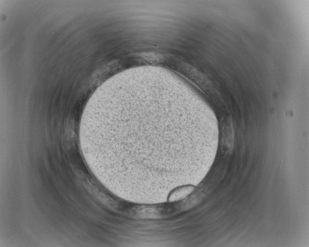 X0000086030518200704201949