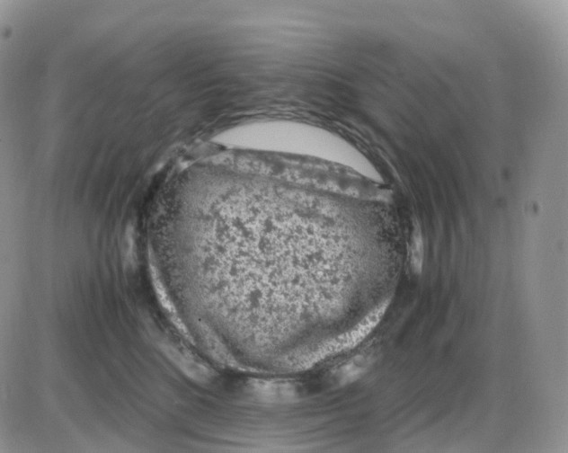 X0000086030520200704201949