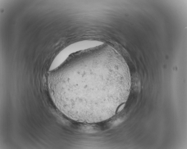 X0000086030523200704201949