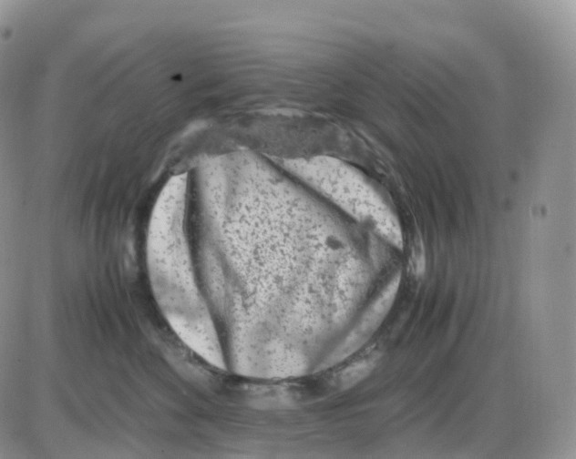 X0000086030524200704201949