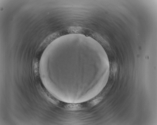 X0000086030526200704201949