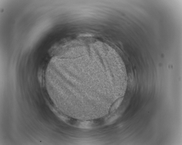 X0000086030527200704201949