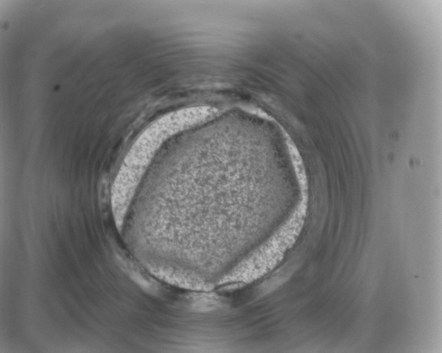 X0000086030528200704201949