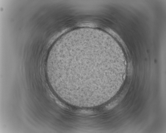 X0000086030529200704201948