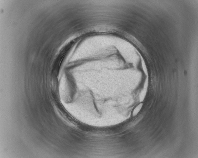 X0000086030530200704201948