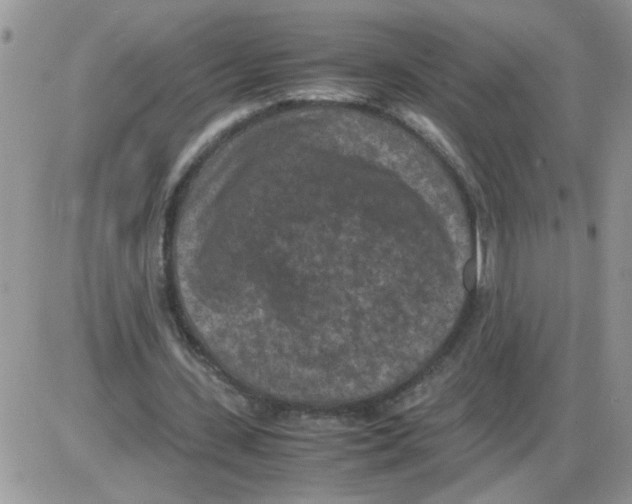 X0000086030531200704201948