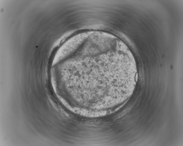 X0000086030532200704201948