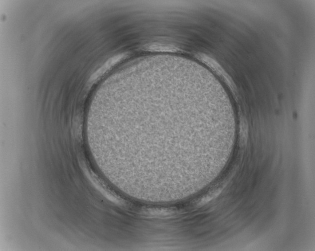 X0000086030533200704201948