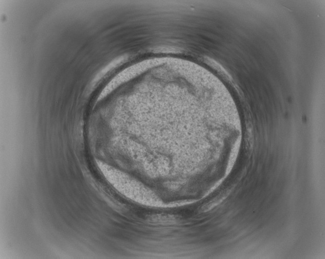 X0000086030535200704201948