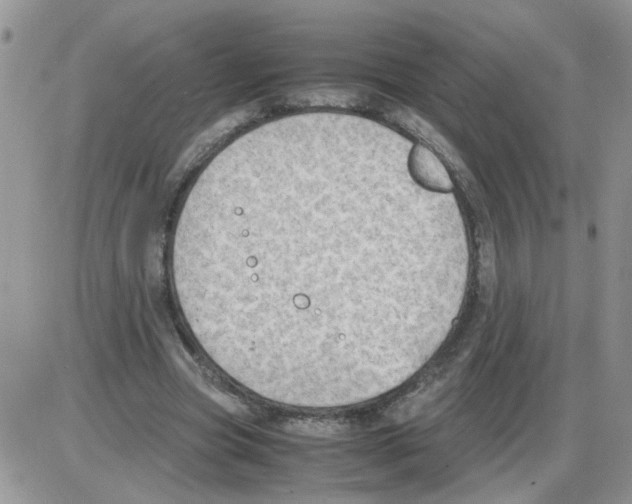 X0000086030537200704201948