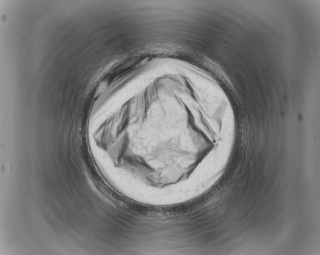 X0000086030538200704201948