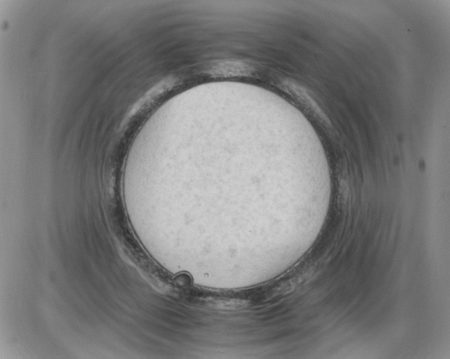 X0000086030539200704201948