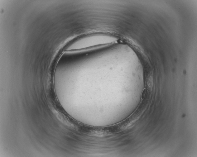 X0000086030540200704201948