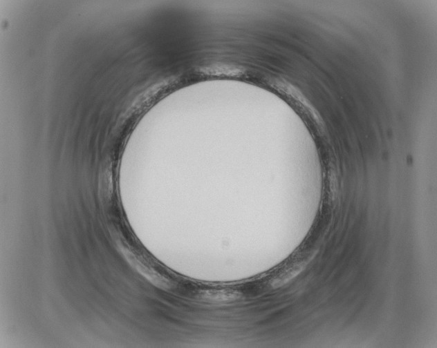 X0000086030541200704201948