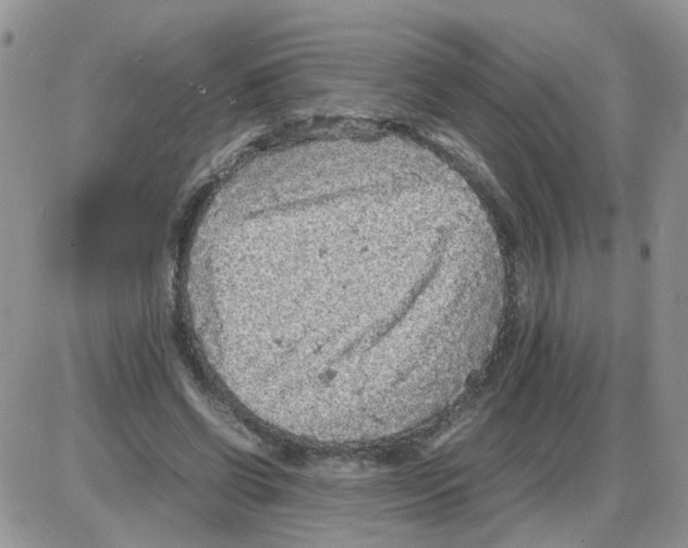 X0000086030542200704201948