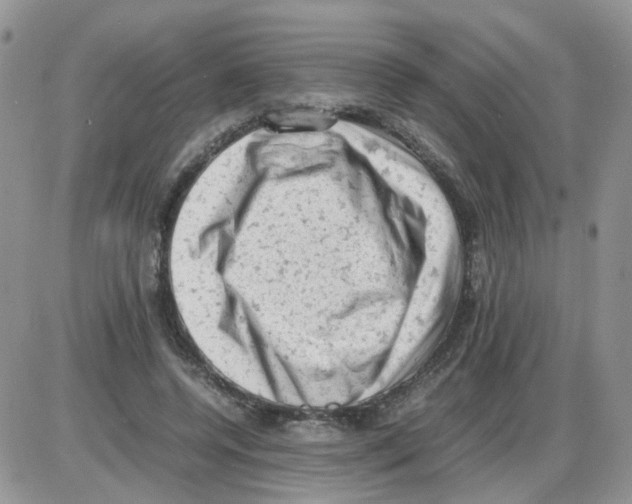 X0000086030544200704201949