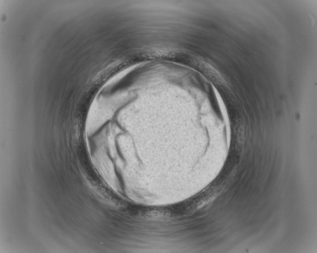 X0000086030546200704201949