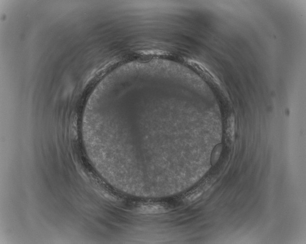 X0000086030547200704201949