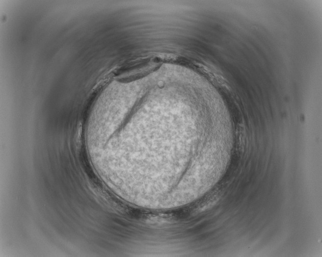 X0000086030550200704201949