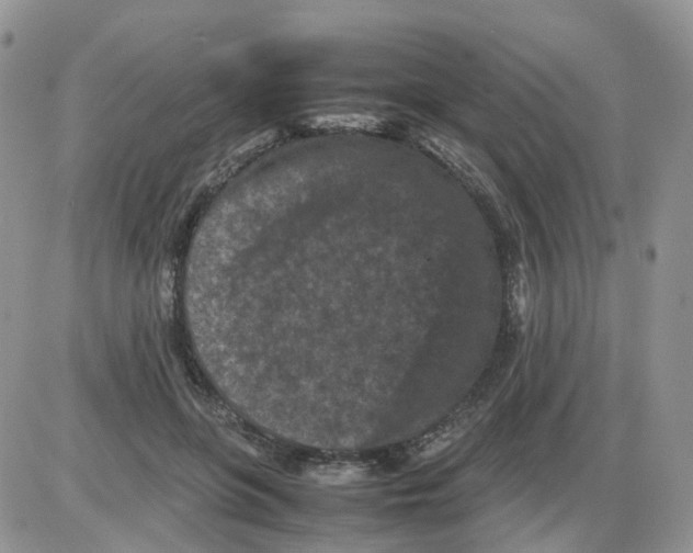 X0000086030551200704201949