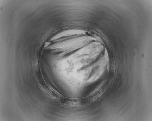 X0000086030552200704201949