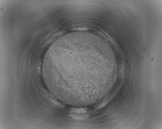 X0000086030553200704201949