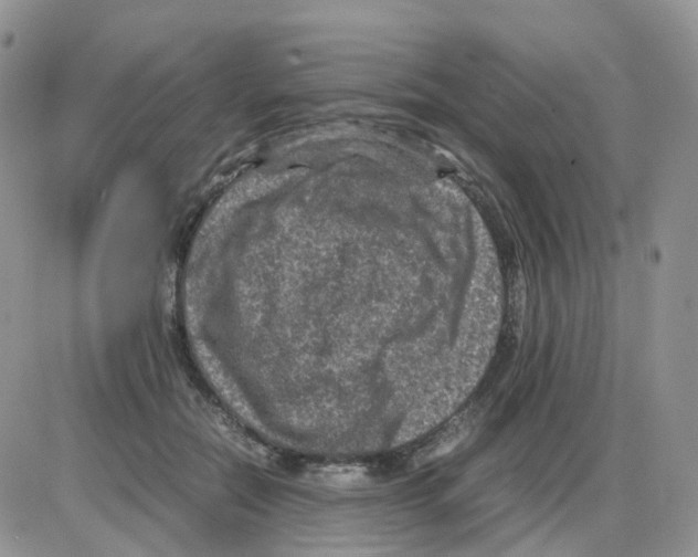 X0000086030554200704201949