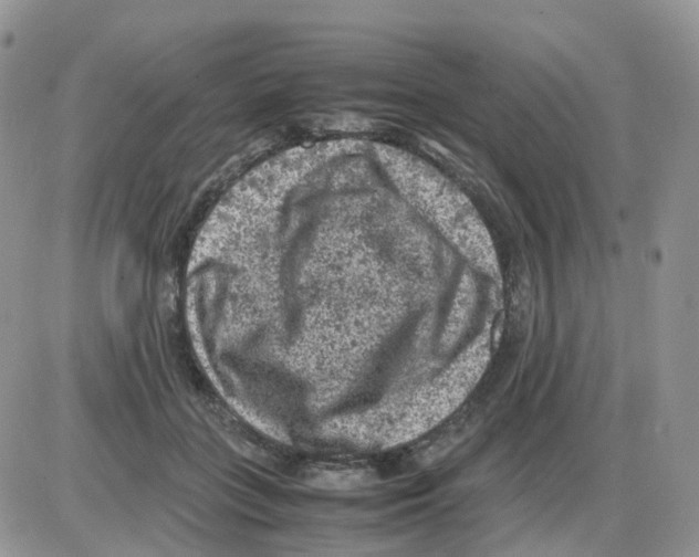 X0000086030555200704201949