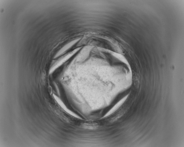 X0000086030556200704201949